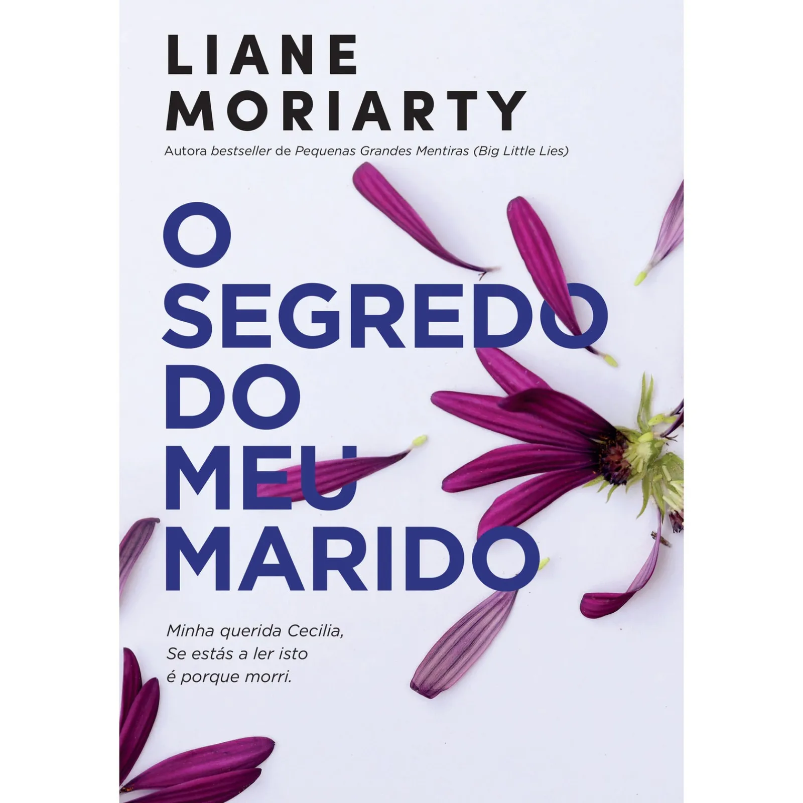Asa O Segredo do Meu Marido de Liane Moriarty^ Romance