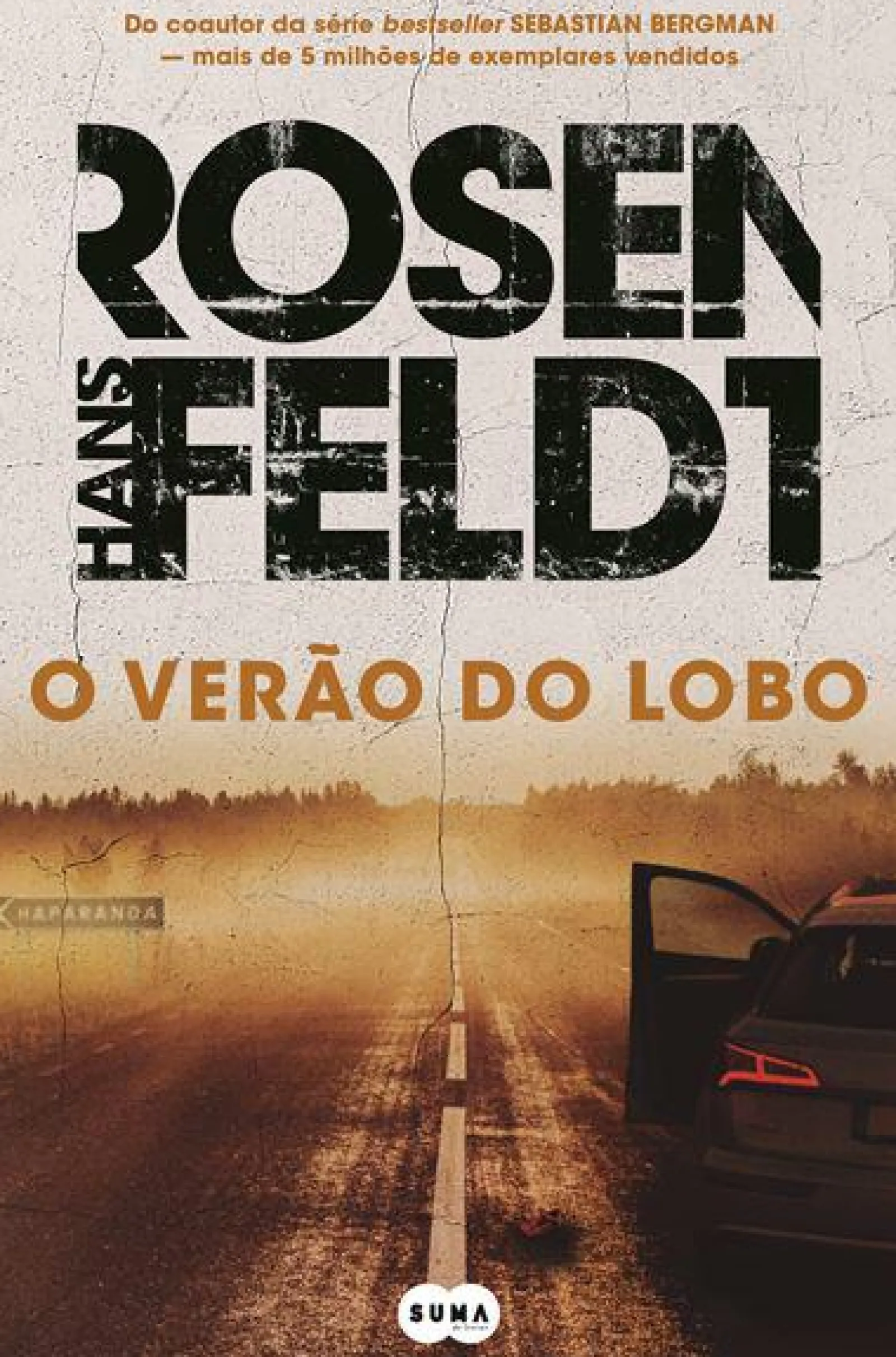 Suma De Letras O Verão do Lobo de Hans Rosenfeldt^ Policial