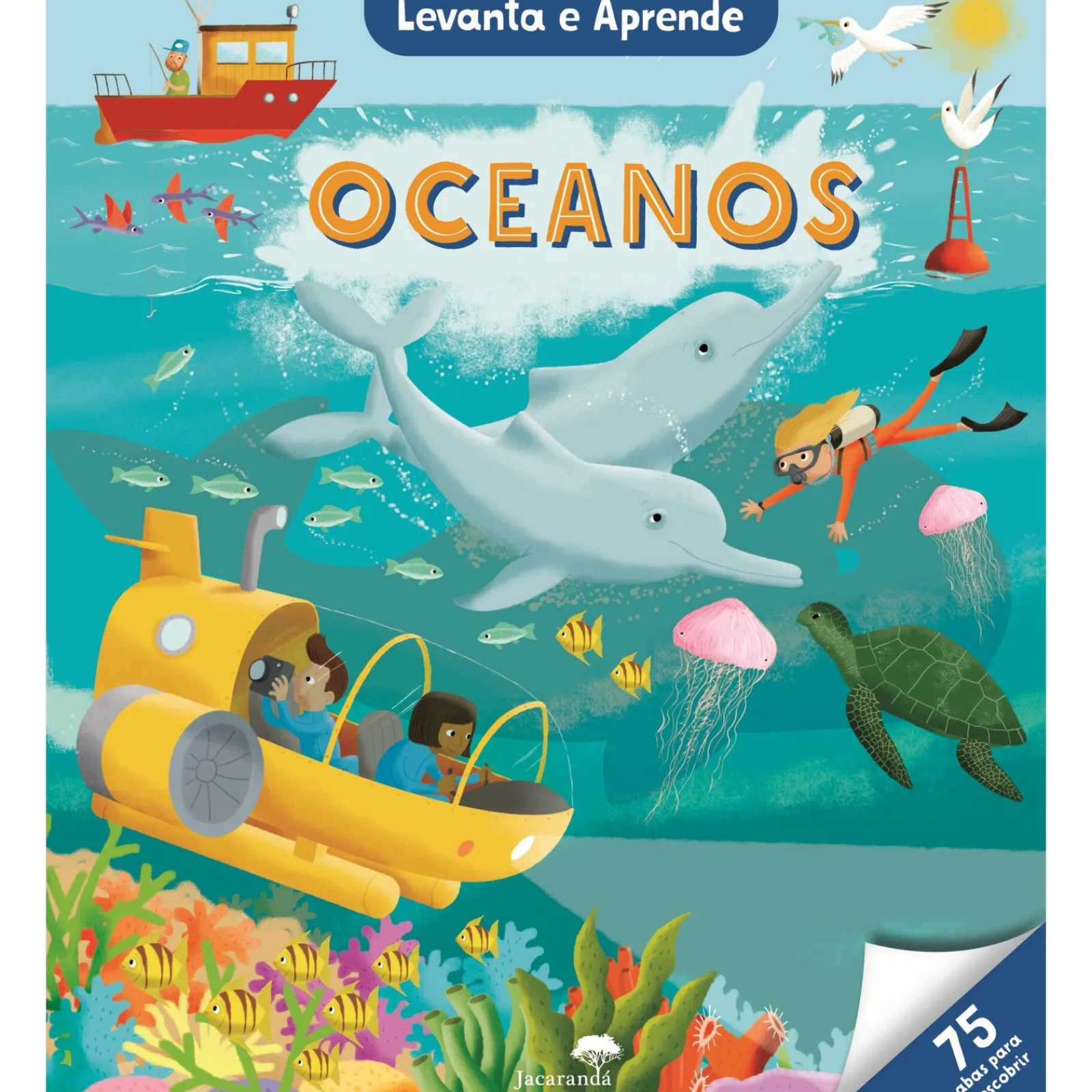 Jacarandá Oceanos - Levanta e Aprende de Paul Virr e Andy Rowland^ Conhecimento
