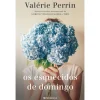 Presença Os Esquecidos de Domingo de Valerie Perrin^ Romance