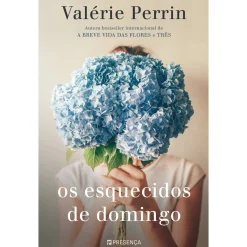 Presença Os Esquecidos de Domingo de Valerie Perrin^ Romance