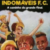Porto Editora Os Indomáveis F. C. - A Caminho da Grande Final de Álvaro Magalhães - Livro 14^ Coleções Juvenis