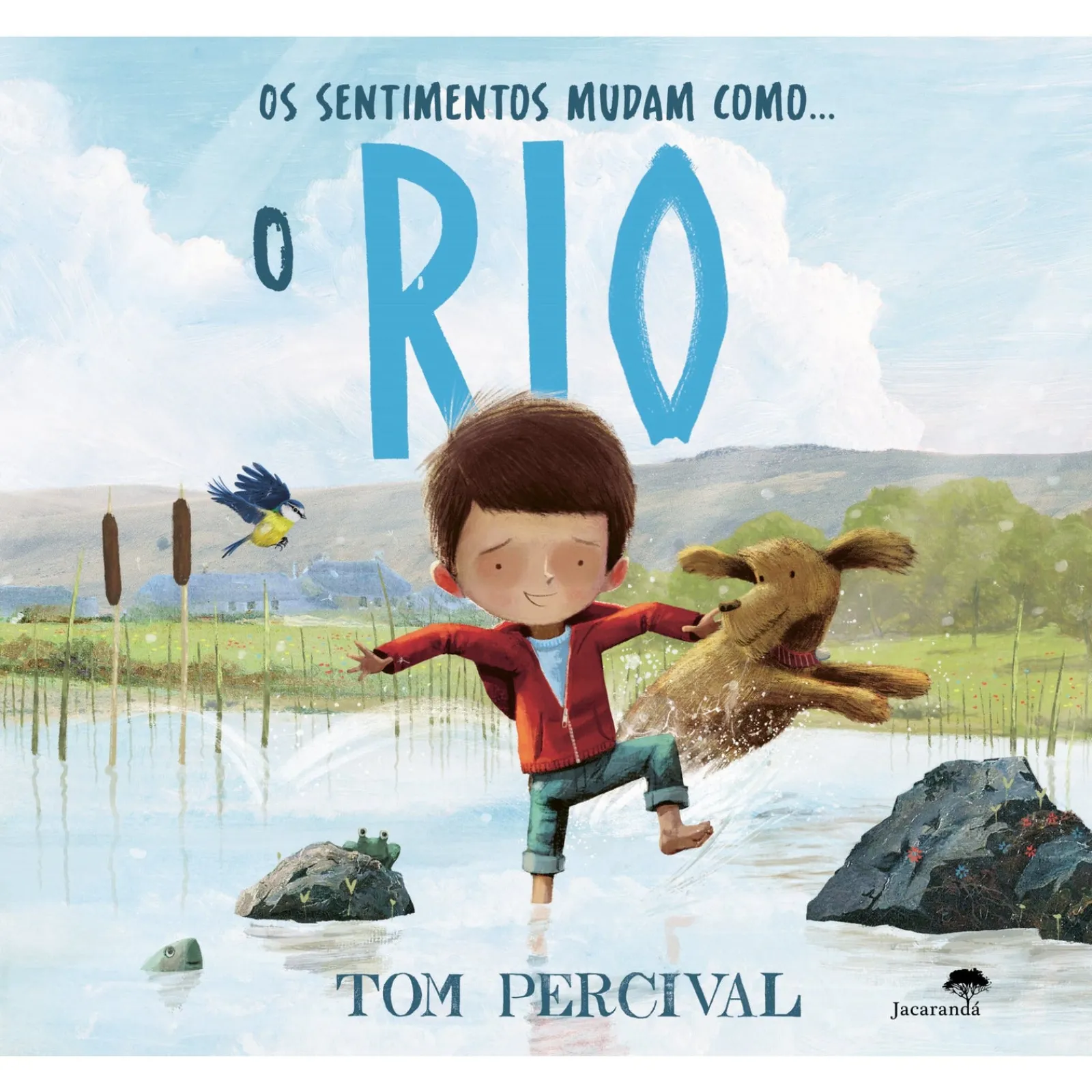 Jacaranda OS SENTIMENTOS MUDAM COMO... o RIO de Tom Percival^ Literatura Infantil