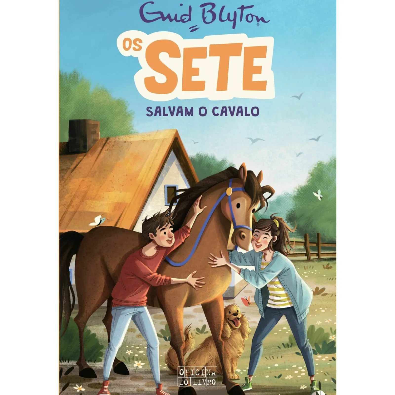 Oficina Do Livro Os Sete Salvam o Cavalo de Enid Blyton - Os Sete Volume 15^ Coleções Juvenis
