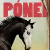 Gailivro Pónei de R. J. Palacio^ Literatura Juvenil