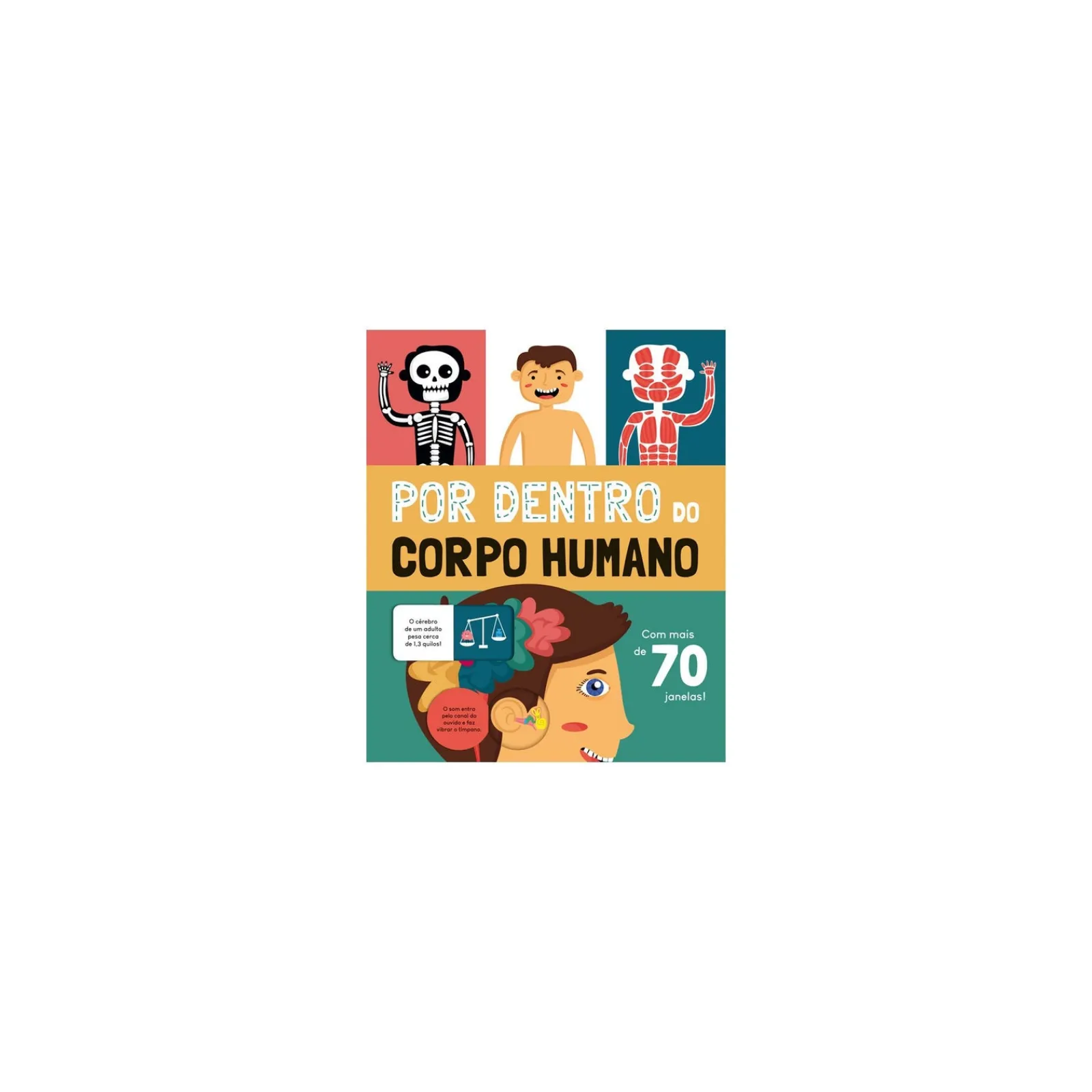 Livros Mch Por Dentro do Corpo Humano^ Conhecimento