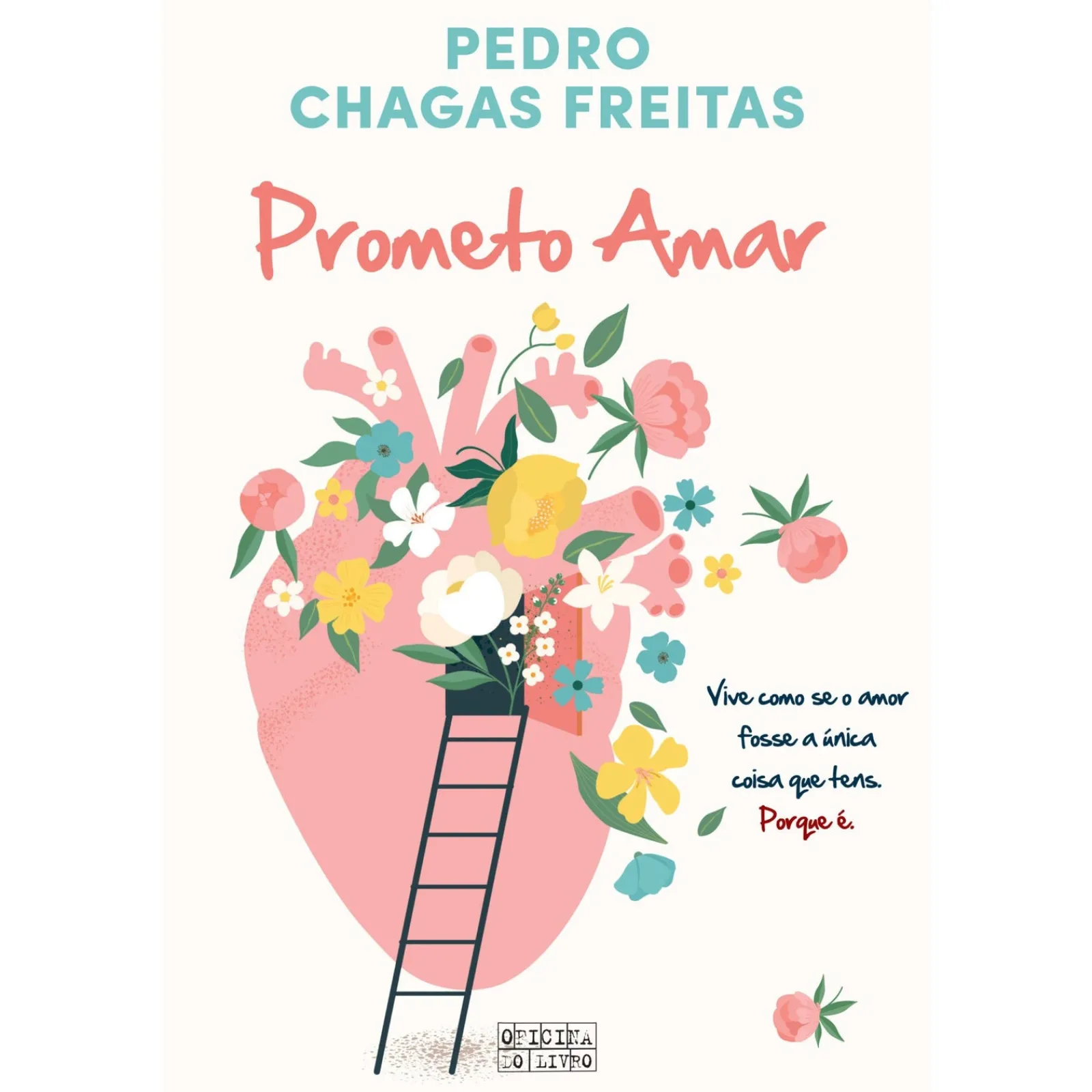 Oficina Livro Prometo Amar de Pedro Chagas Freitas^ Romance