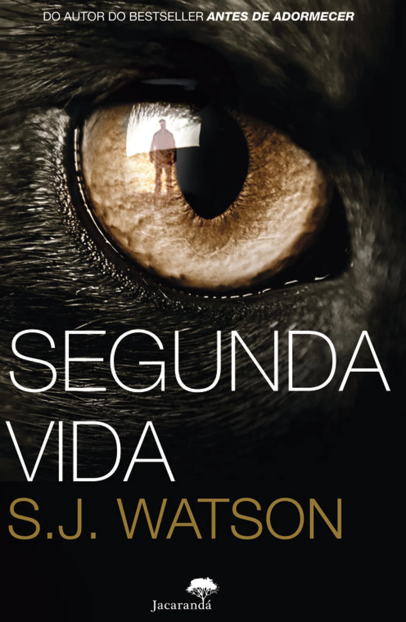 Presença Segunda Vida de S. J. Watson^ Policial