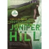 Clube Do Autor Tentação em Juniper Hill de Devney Perry - Série The Edens^ Romance