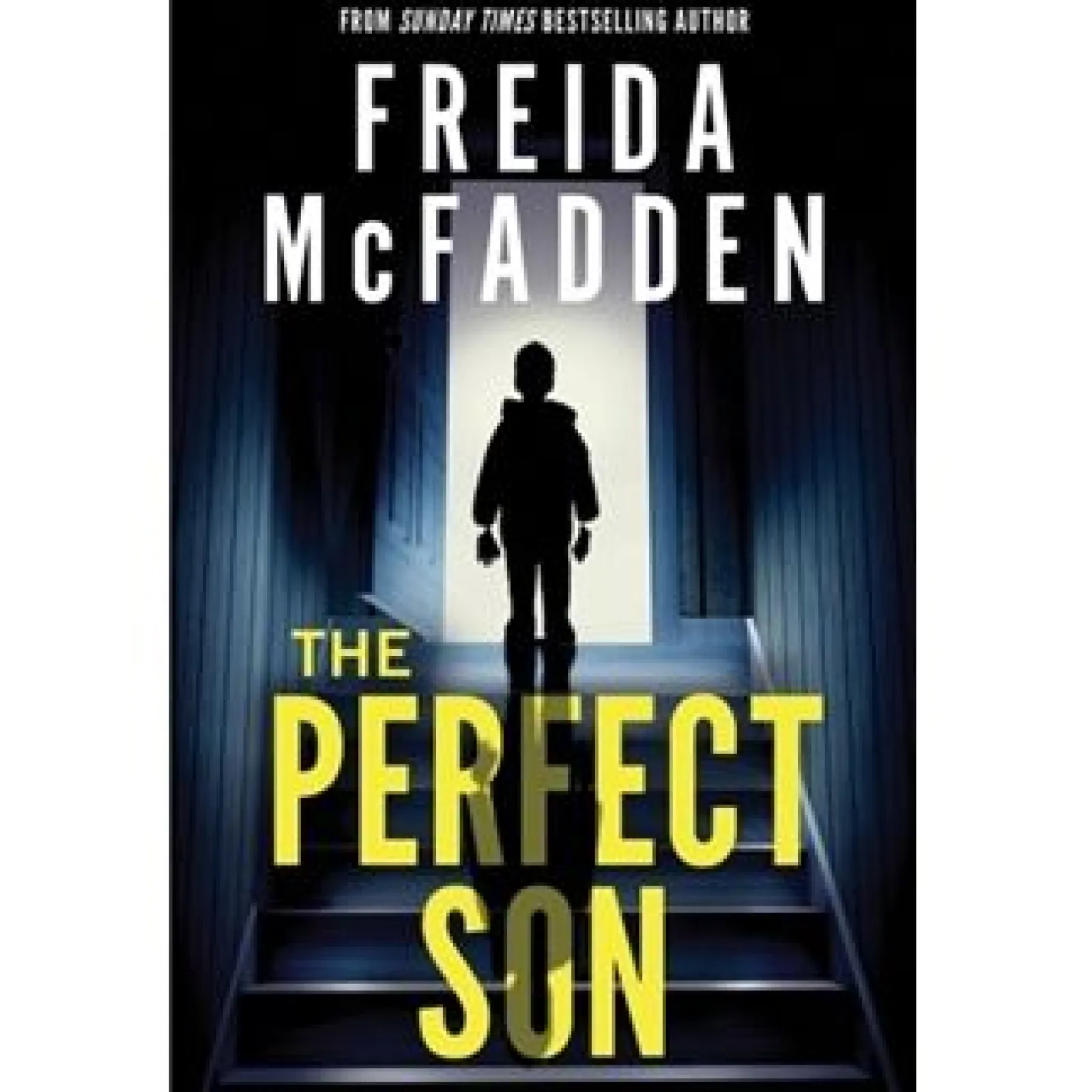 Sourcebooks The Perfect Son de Freida Mcfadden^ Livros Em Inglês