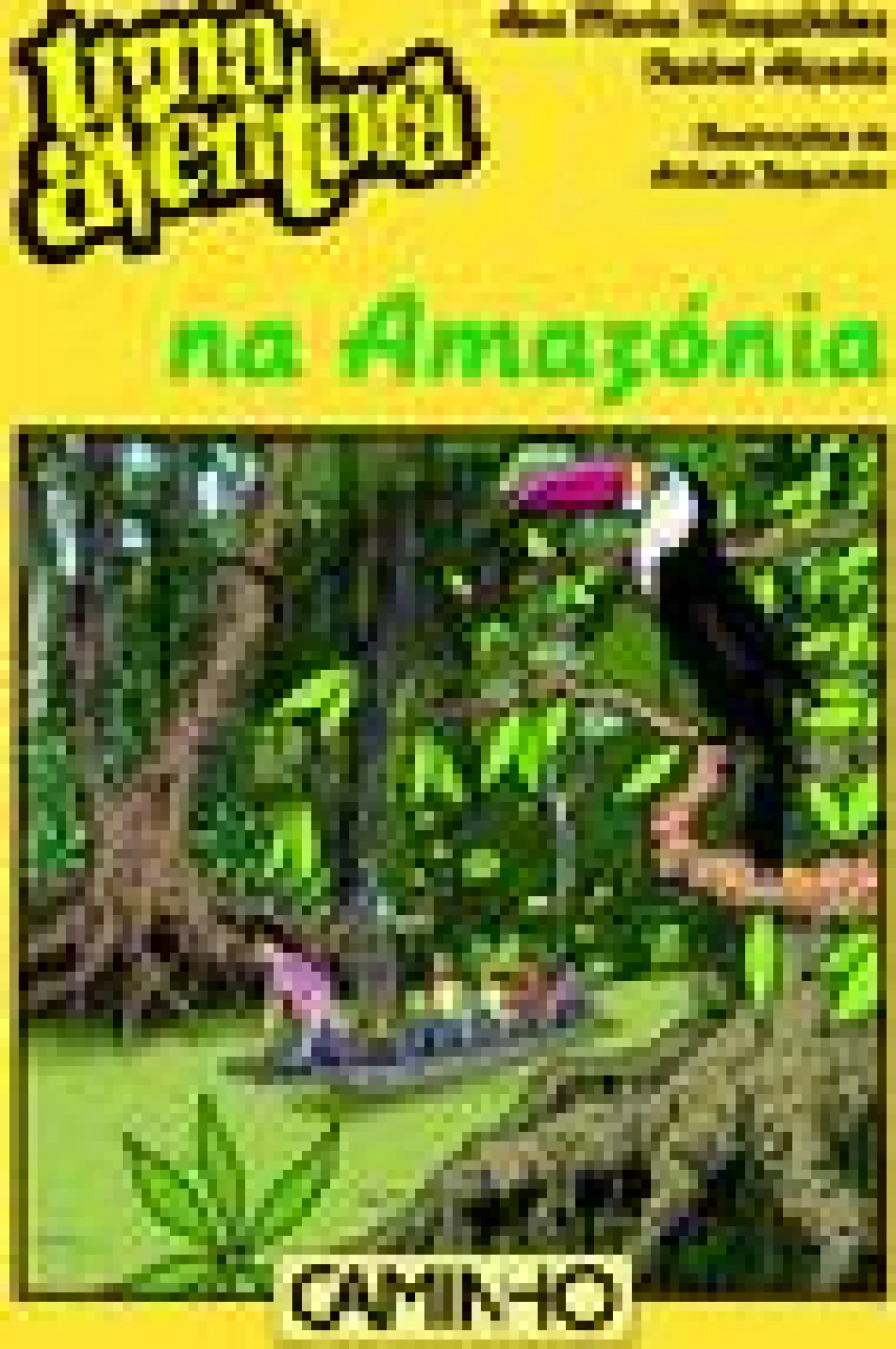 Caminho Uma Aventura na Amazónia de Ana Maria Magalhães e Isabel Alçada - Volume 51^ Coleções Juvenis