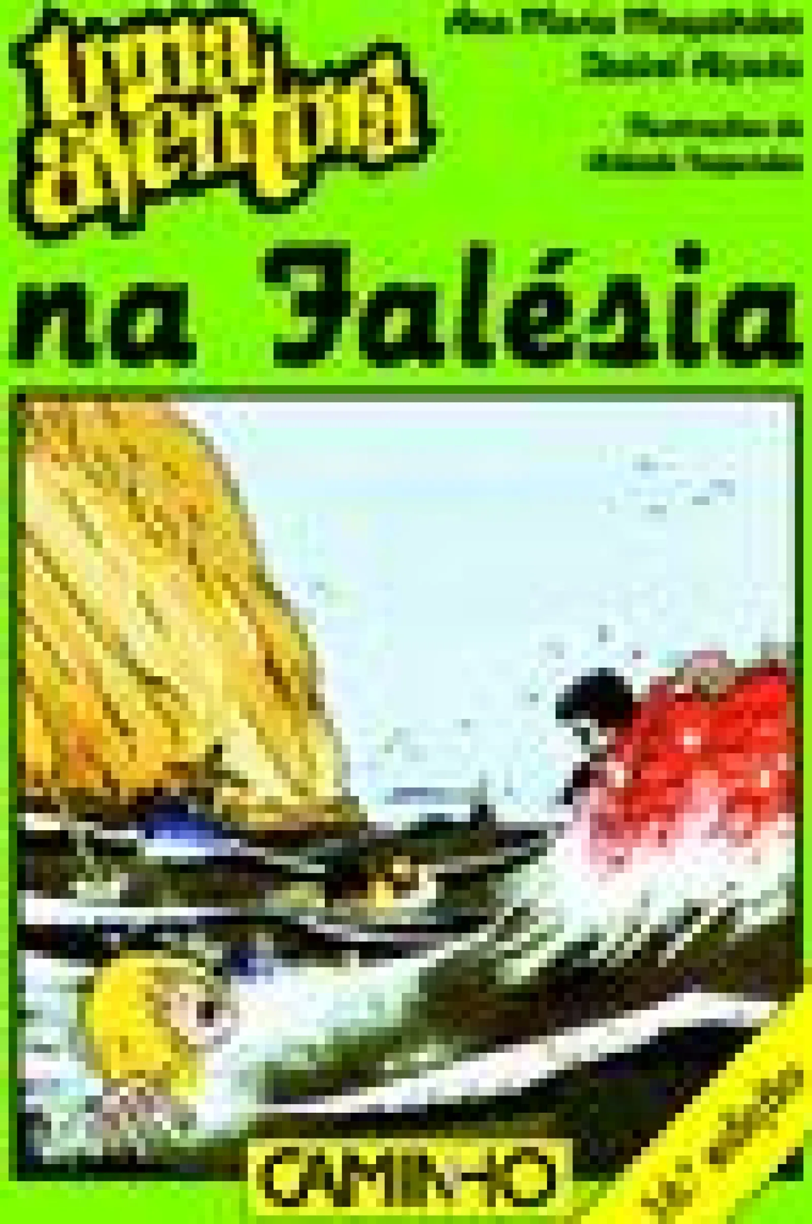 Caminho Uma Aventura na Falésia de Ana Maria Magalhães e Isabel Alçada^ Coleções Juvenis