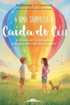 Booksmile Uma Surpresa Caída do Céu de Barbara O'Connor^ Literatura Juvenil