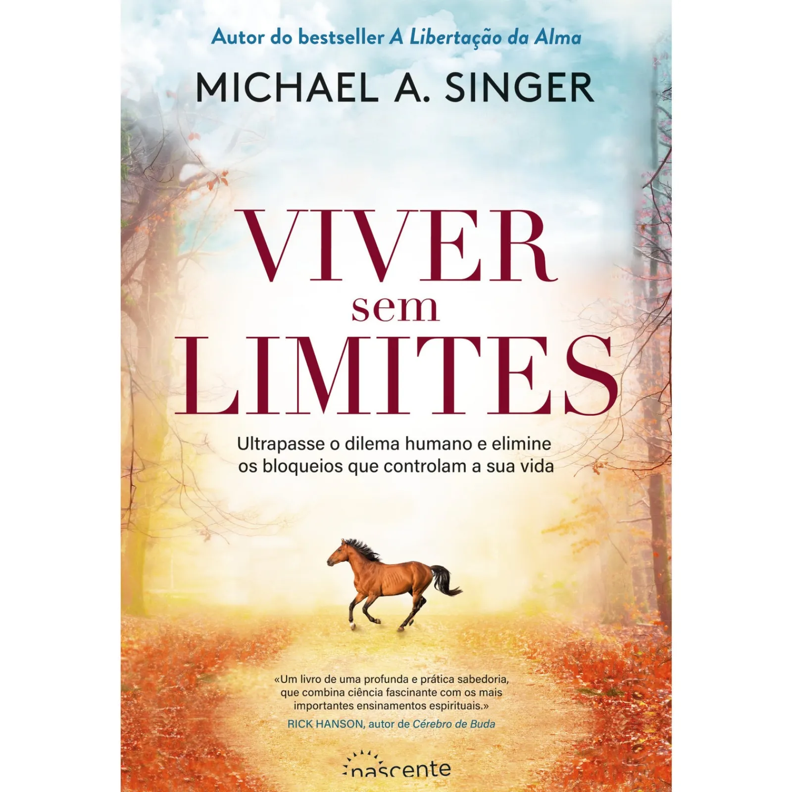 Nascente Viver sem Limites de Michael A. Singer^ Desenvolvimento Pessoal