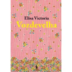 Dom Quixote Vozdevelha de Elisa Victoria^ Romance